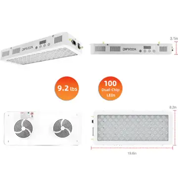 Bestqool Half-Body Red Light Therapy