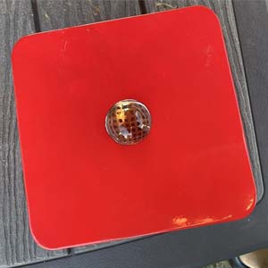 Red-Infrared Combo Light