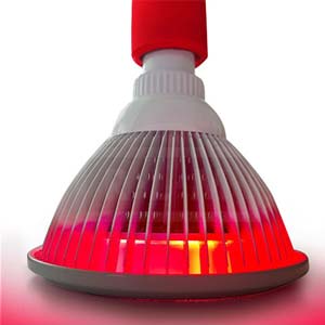 Red Light Device Mini