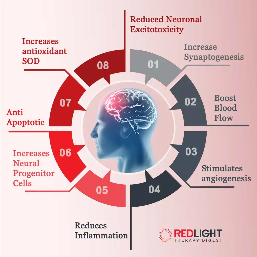 Red light therapy for Brain