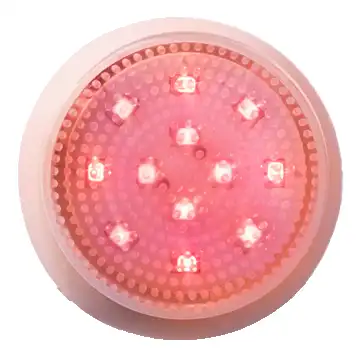 Vanity Planet LEDA Red Review