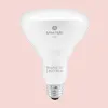 GE BR30 LED Grow Light Bulb
