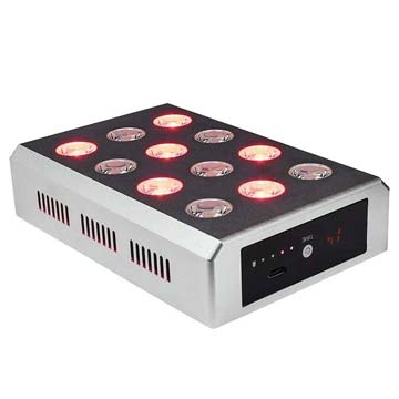 Kala Red Light Mini