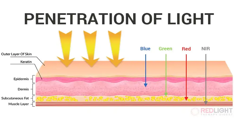 LED light skin penetration