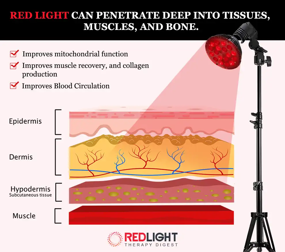 Red Light penetrates deep into skin
