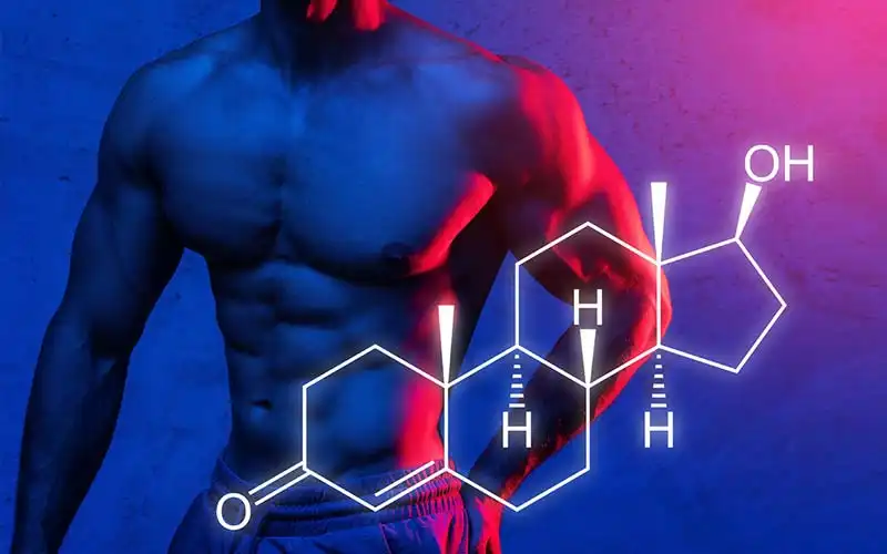 The Impact of Red Light Therapy on Testosterone: Sexual Health, Fertility, and More