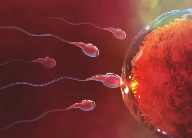 Terapia de luz roja para el embarazo: su impacto positivo en la fertilidad