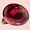 therabulb near infrared 300 watt bulb