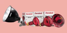 TheraBulb Review | Effective Near Infrared (NIR) Light Bulbs?